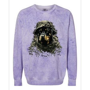 Soldier Rottweiler Army Military Rottweiler Colorblast Crewneck Sweatshirt