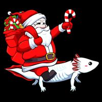 Santa Riding Axolotl Christmas Pajama Gifts Boys Womens Tank Top