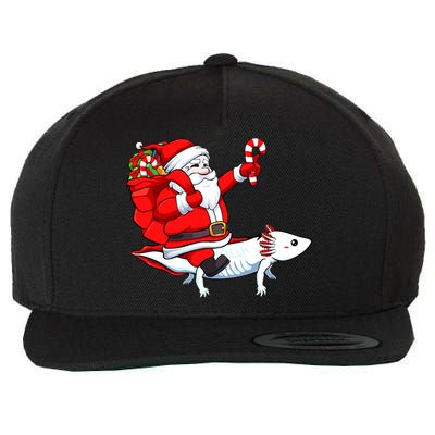 Santa Riding Axolotl Christmas Pajama Gifts Boys Wool Snapback Cap