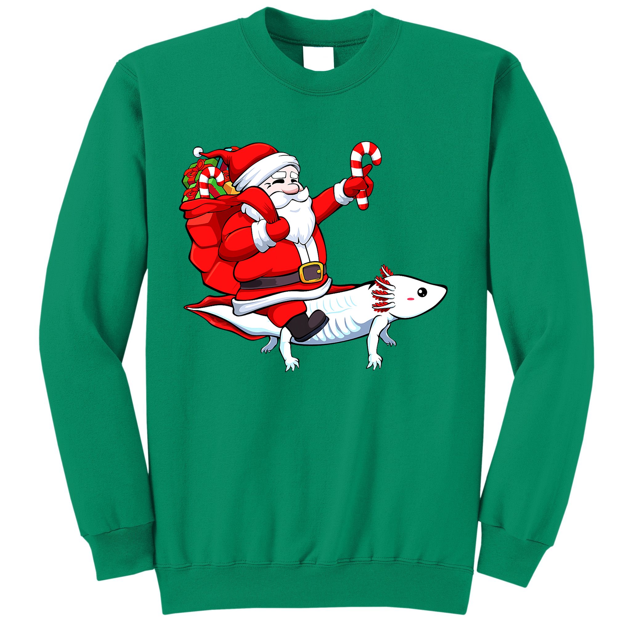 Santa Riding Axolotl Christmas Pajama Gifts Boys Sweatshirt