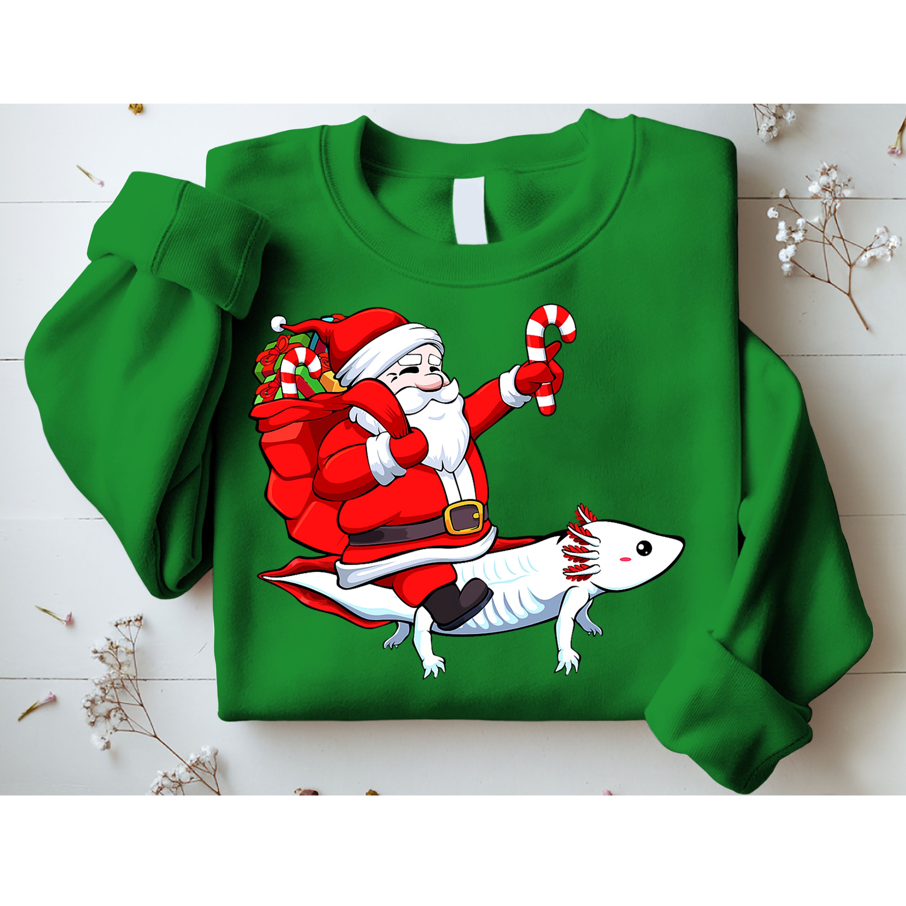 Santa Riding Axolotl Christmas Pajama Gifts Boys Sweatshirt