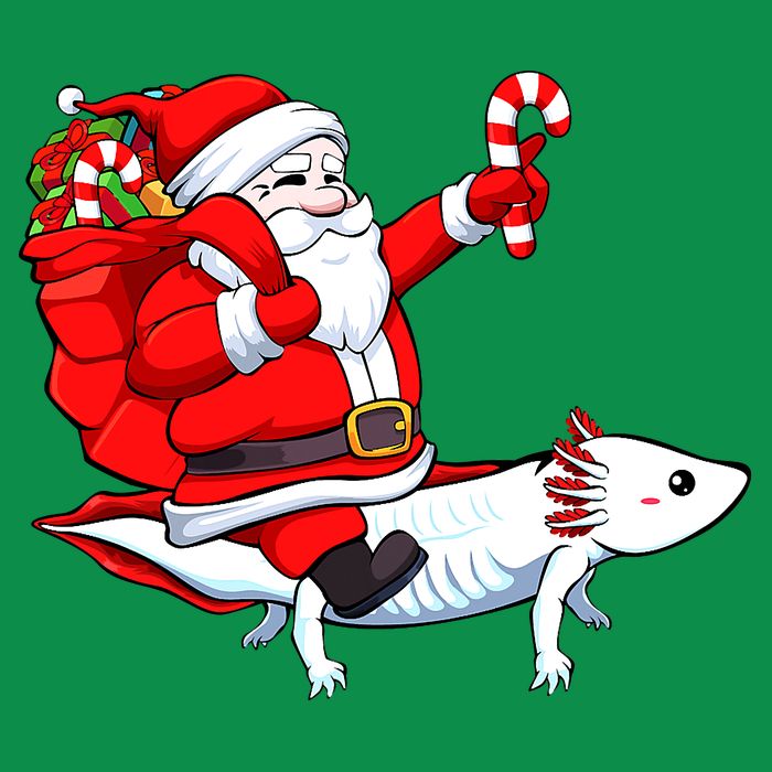 Santa Riding Axolotl Christmas Pajama Gifts Boys Sweatshirt