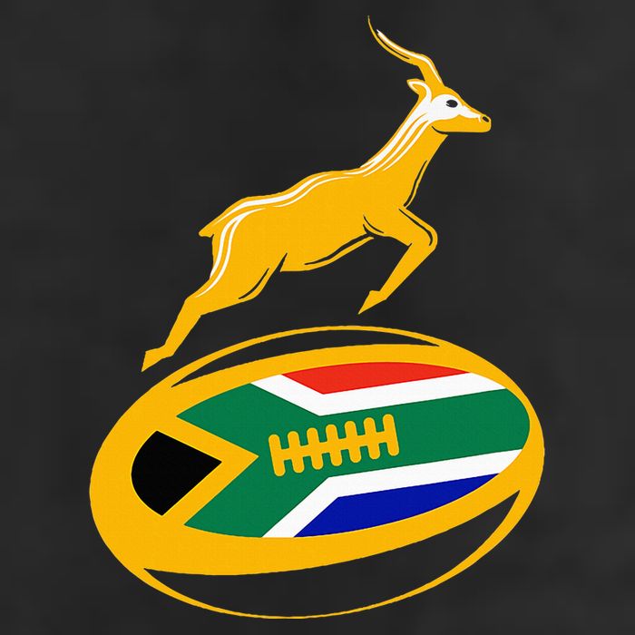 Springbok Rugby Ball & South African Flag 7 Panel Mesh Trucker Snapback Hat