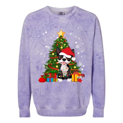 Santa Reindeer Boston Terrier Christmas Tree Lights Dog Gift Colorblast Crewneck Sweatshirt