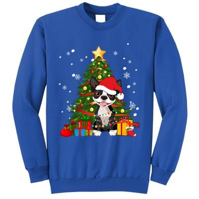 Santa Reindeer Boston Terrier Christmas Tree Lights Dog Gift Tall Sweatshirt