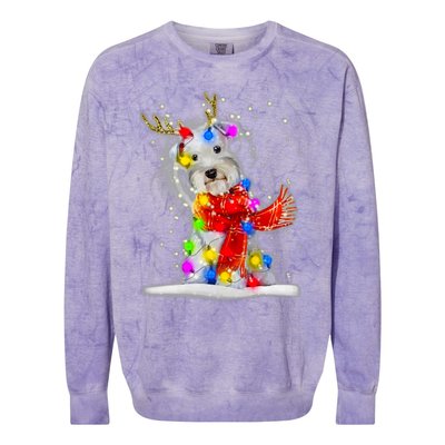 Schnauzer Reindeer Christmas Lights Tree Dog Scarf Xmas Snow Colorblast Crewneck Sweatshirt