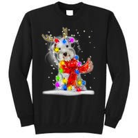 Schnauzer Reindeer Christmas Lights Tree Dog Scarf Xmas Snow Tall Sweatshirt