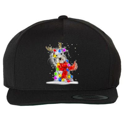 Schnauzer Reindeer Christmas Lights Tree Dog Scarf Xmas Snow Wool Snapback Cap
