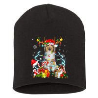 Sheltie Reindeer Christmas Tree Lights Pajama Dog Xmas Short Acrylic Beanie