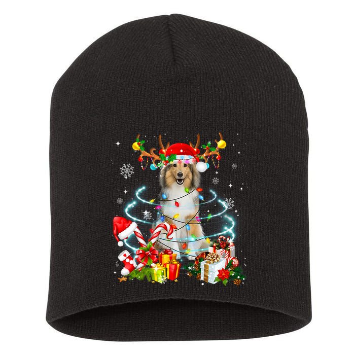 Sheltie Reindeer Christmas Tree Lights Pajama Dog Xmas Short Acrylic Beanie