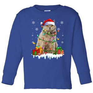 Selkirk Rex Cat Xmas Light Christmas Kitten Lover Cute Gift Toddler Long Sleeve Shirt