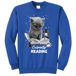 Summer Reading Currently Reading Cat Reading A Book Bookish Cool Gift Sweatshirt