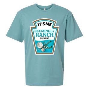 Seemingly Ranch Costume Sueded Cloud Jersey T-Shirt