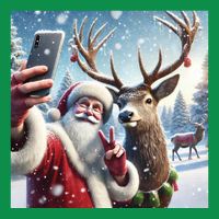 Surprise Rain Deer Selfie Santa T-Shirt