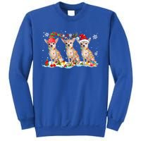 Santa Reindeer Elf Chihuahua Cute Christmas Lights Dog Lover Meaningful Gift Sweatshirt