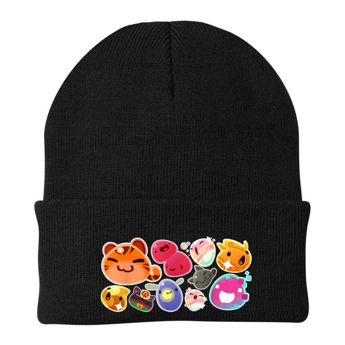 Slime Rancher Essential Beanie