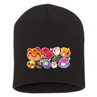 Slime Rancher Essential Short Acrylic Beanie