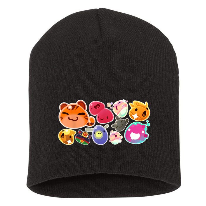 Slime Rancher Essential Short Acrylic Beanie