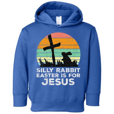 Silly Rabbit Easter Is For Jesus Christians Toddler Hoodie