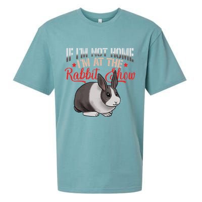Show Rabbit For Dutch Rabbit Owner Sueded Cloud Jersey T-Shirt