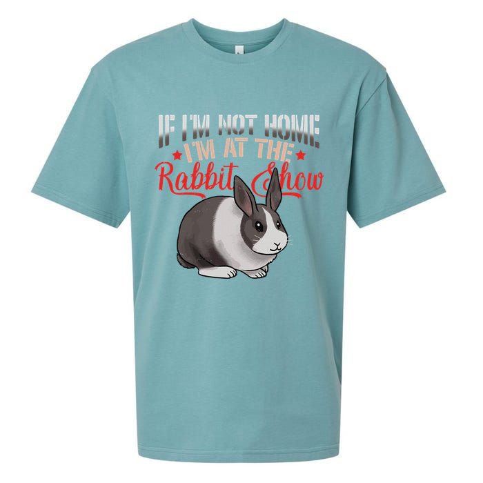 Show Rabbit For Dutch Rabbit Owner Sueded Cloud Jersey T-Shirt