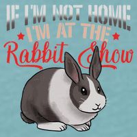 Show Rabbit For Dutch Rabbit Owner Sueded Cloud Jersey T-Shirt