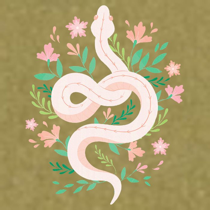 Snake Reptile Flowers Poisonous Python Cobra Animal Gift Garment-Dyed Women's Muscle Tee