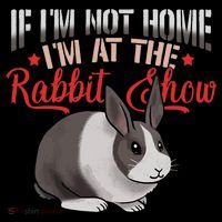 Show Rabbit For Dutch Rabbit Owner  Poster