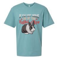 Show Rabbit For Dutch Rabbit Owner  Sueded Cloud Jersey T-Shirt