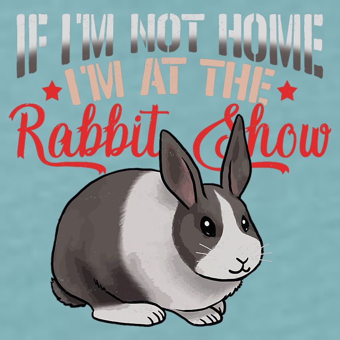 Show Rabbit For Dutch Rabbit Owner  Sueded Cloud Jersey T-Shirt