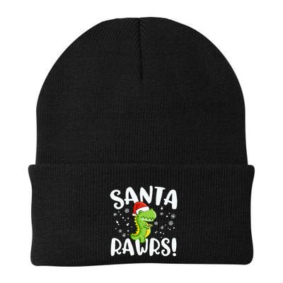 Santa Rawrs Green Dinosaur Cute Reptile Christmas Gift Great Gift Beanie