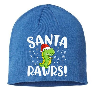 Santa Rawrs Green Dinosaur Cute Reptile Christmas Gift Great Gift Sustainable Beanie