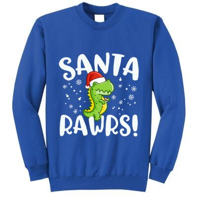 Santa Rawrs Green Dinosaur Cute Reptile Christmas Gift Great Gift Tall Sweatshirt
