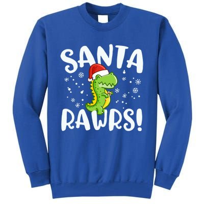 Santa Rawrs Green Dinosaur Cute Reptile Christmas Gift Great Gift Tall Sweatshirt