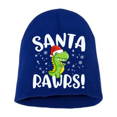 Santa Rawrs Green Dinosaur Cute Reptile Christmas Gift Great Gift Short Acrylic Beanie