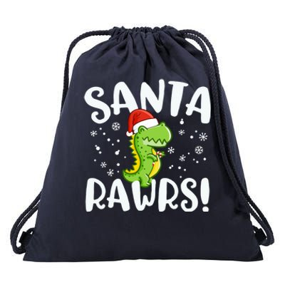 Santa Rawrs Green Dinosaur Cute Reptile Christmas Gift Great Gift Drawstring Bag