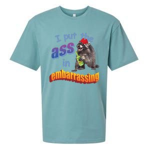 Spencers Raccoon I Put The Ass In Embarrassing Sueded Cloud Jersey T-Shirt