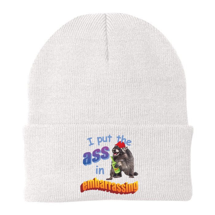 Spencers Raccoon I Put The Ass In Embarrassing Knit Cap Winter Beanie