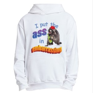 Spencers Raccoon I Put The Ass In Embarrassing Urban Pullover Hoodie