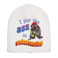 Spencers Raccoon I Put The Ass In Embarrassing Short Acrylic Beanie