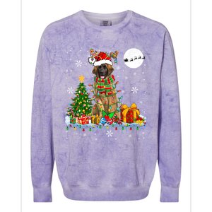 Santa Reindeer Leonberger Christmas Tree Lights Dog Owner Cute Gift Colorblast Crewneck Sweatshirt