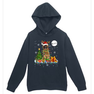 Santa Reindeer Leonberger Christmas Tree Lights Dog Owner Cute Gift Urban Pullover Hoodie