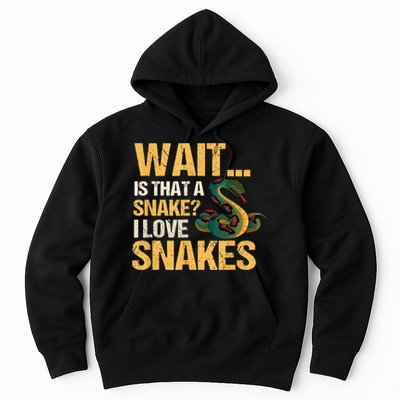 Snake Reptile Lovers Herpetologist Ophidiophilia Hoodie
