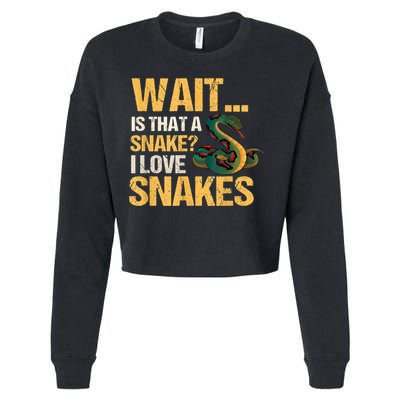 Snake Reptile Lovers Herpetologist Ophidiophilia Cropped Pullover Crew