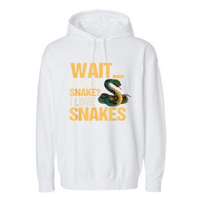 Snake Reptile Lovers Herpetologist Ophidiophilia Garment-Dyed Fleece Hoodie