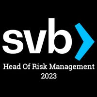 SVB Risk Management Team Svb Risk Management Department Bucket Hat