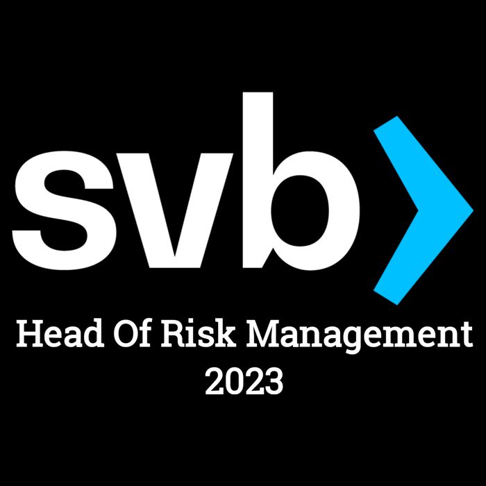 SVB Risk Management Team Svb Risk Management Department Bucket Hat