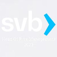 SVB Risk Management Team Svb Risk Management Department Garment-Dyed Sweatshirt