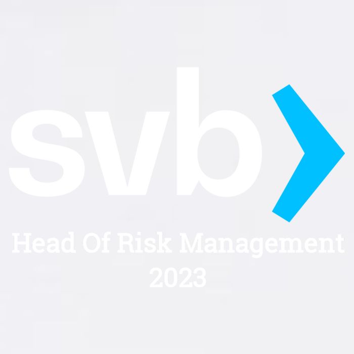 SVB Risk Management Team Svb Risk Management Department Garment-Dyed Sweatshirt