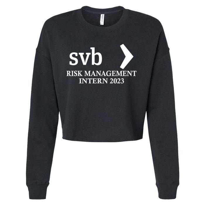 SVB Risk Management Intern Department Dept Team 2023 Cropped Pullover Crew